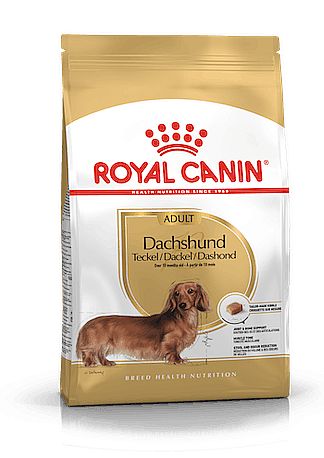 RC BHN DACHSHUND Adult  500g