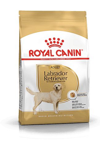 RC BHN LABRADOR Adult 12kg