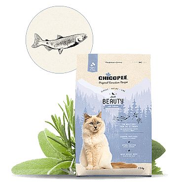 CHICOPEE CNL cat Adult Beauty Salmon 1,5kg