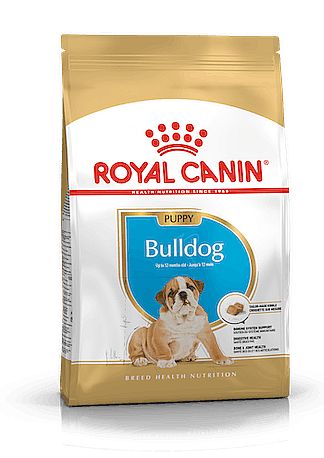 RC BHN BULLDOG Puppy  12kg