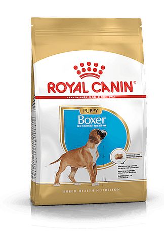 RC BHN BOXER Puppy 3kg