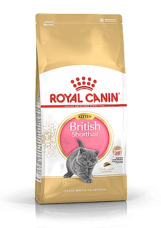 RC FBN BRITISH SHORTHAIR KITTEN 10kg