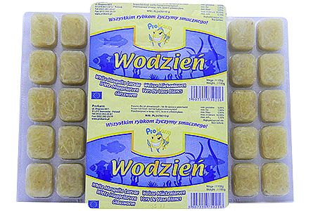 Koretra /wodzien/ - mražený blistr  100g