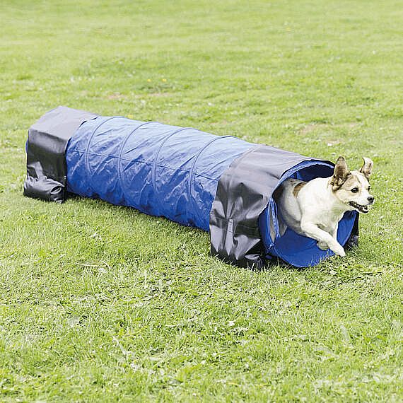 Agility tunel - malý pes, štěně, 40cm/2m - modrý