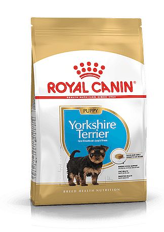 RC BHN YORKSHIRE Puppy 1,5kg