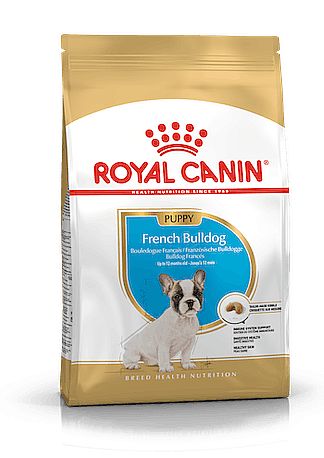 RC BHN FRENCH BULLDOG Puppy 1kg