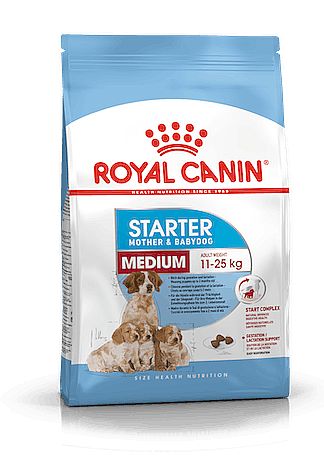 RC SHN MEDIUM Starter Mother&babydog  15kg