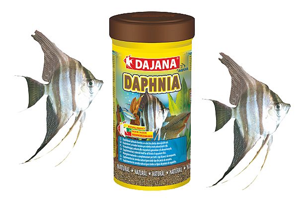 Dajana daphnia   100ml