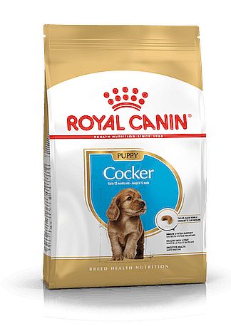 RC BHN COCKER Puppy 3kg