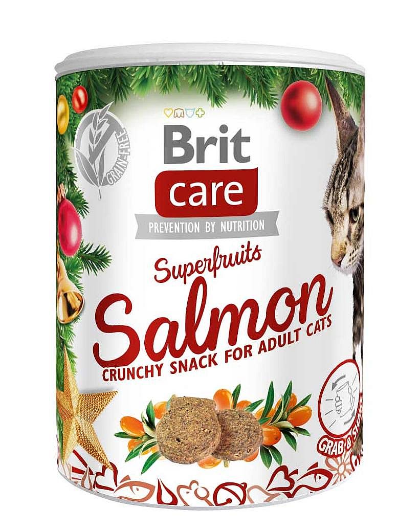 Brit Care Christmas Cat Superfruits 100 g