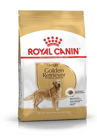 RC BHN GOLDEN RETRIEVER Adult 12kg