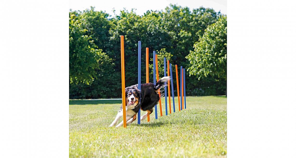 AGILITY Slalom, tyče 12ks