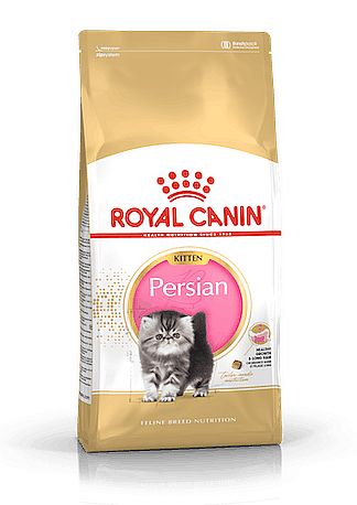 RC FBN KITTEN PERSIAN 400g