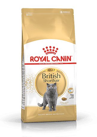 RC FBN BRITISH SHORTHAIR 400g