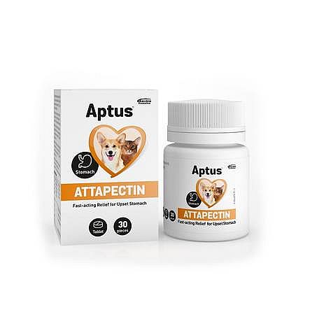 Aptus Attapectin 30tbl