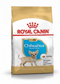 RC BHN CHIHUAHUA Puppy 1,5kg