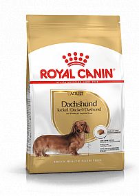 RC BHN DACHSHUND Adult  500g