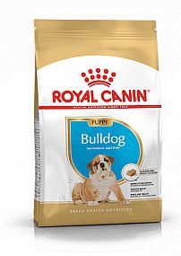 RC BHN BULLDOG Puppy  12kg