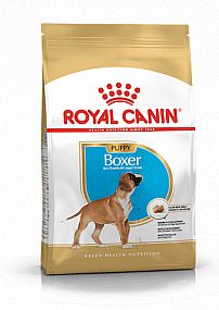 RC BHN BOXER Puppy 3kg