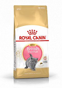 RC FBN BRITISH SHORTHAIR KITTEN 2kg