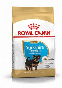 RC BHN YORKSHIRE Puppy  500g