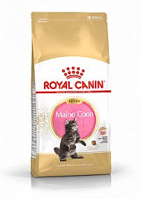 RC FBN KITTEN MAINECOON  10kg