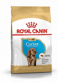 RC BHN COCKER Puppy 3kg