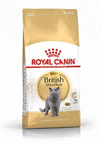 RC FBN BRITISH SHORTHAIR 10kg